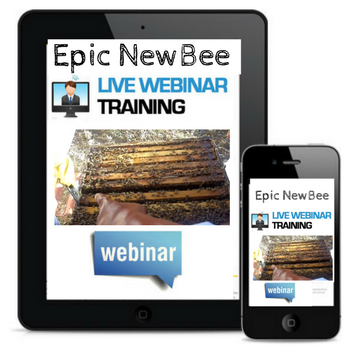 Epic Bee Video Webinars